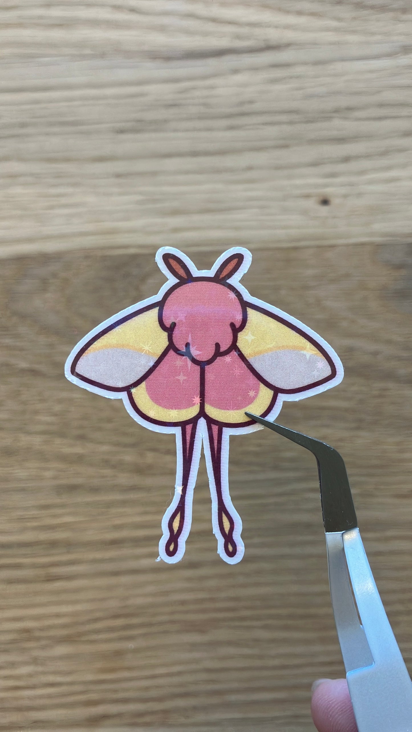 Moth Luna Sticker Motte