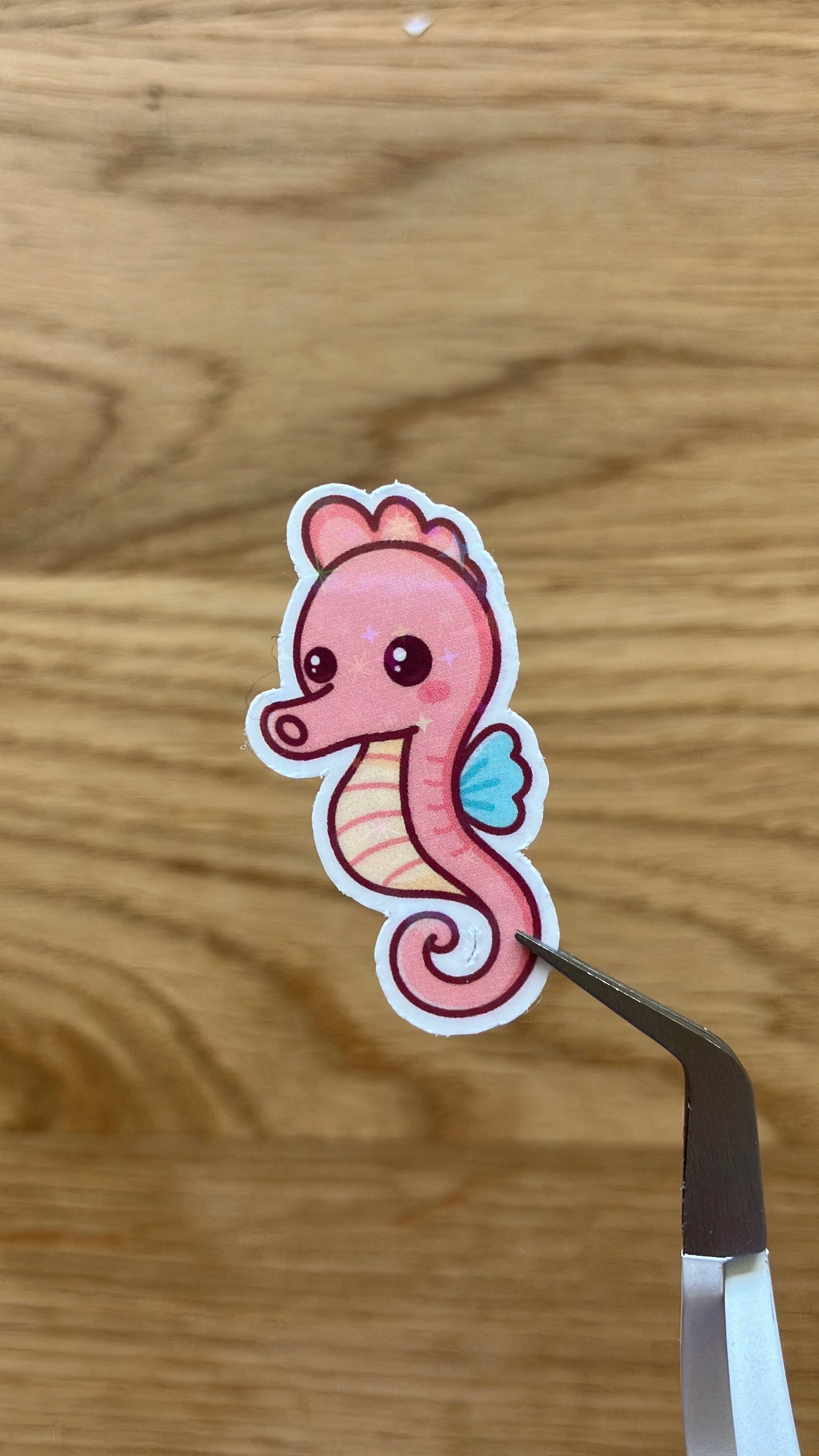 Seepferdchen Sticker