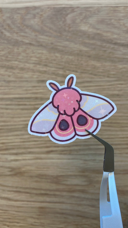 Sphinx Io Moth Sticker Motte