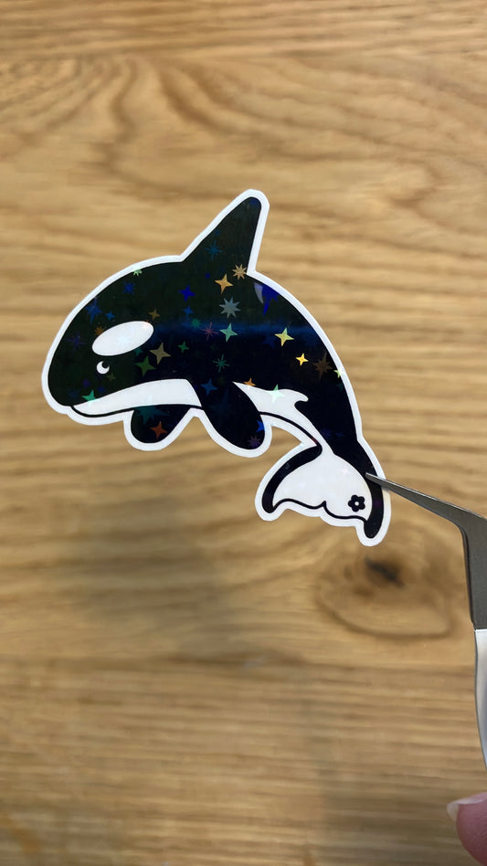 Orca Sticker