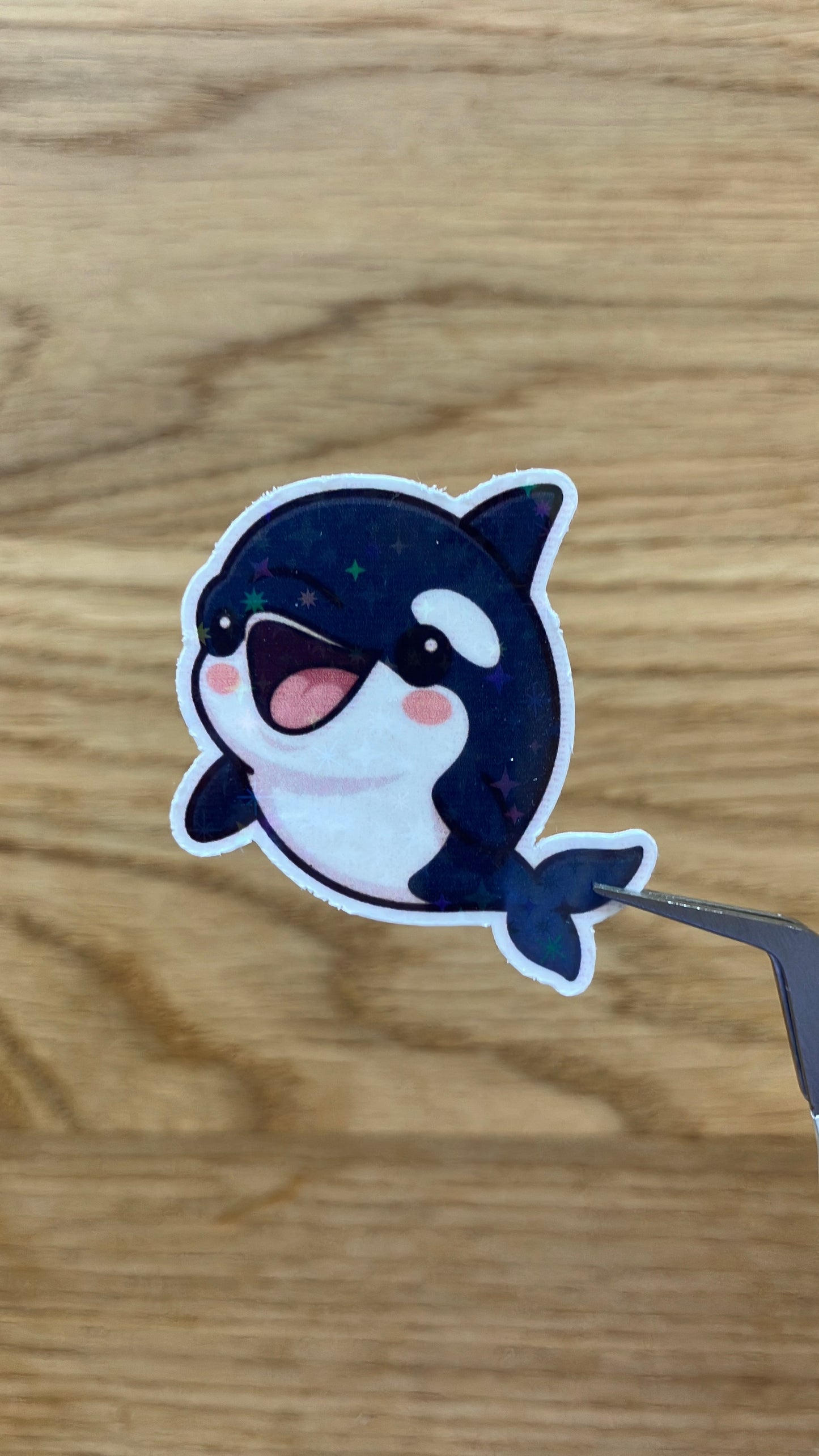 Orca Sticker