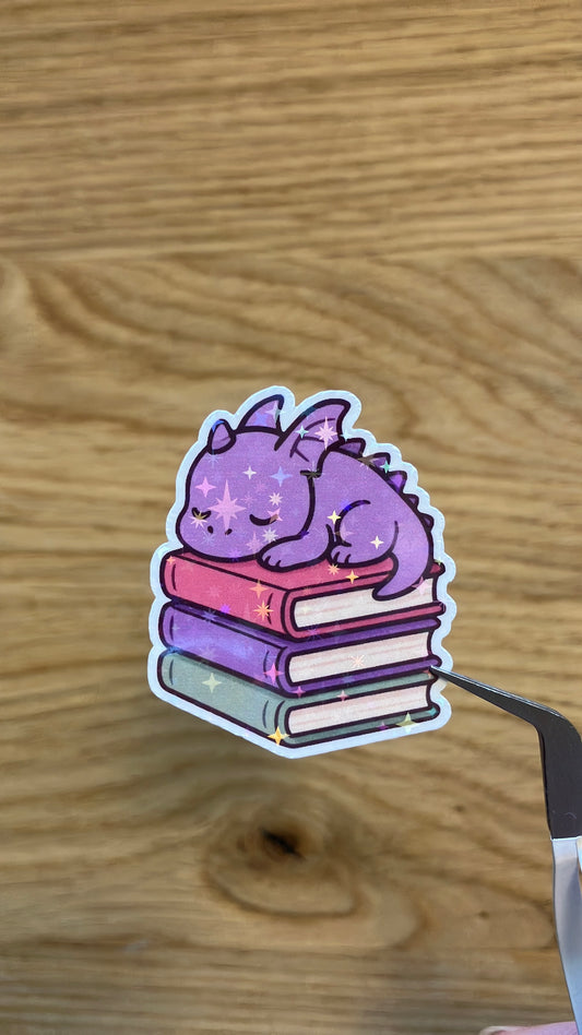 Bücher Drache