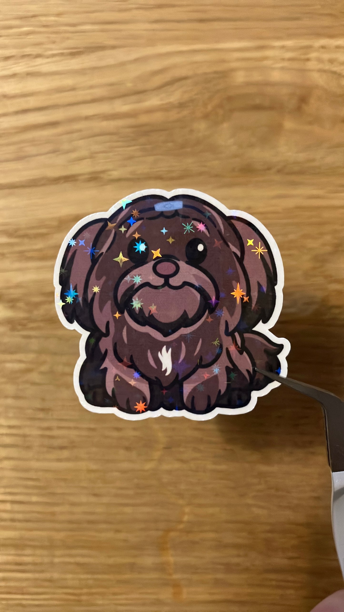 Havaneser (Chocolate) Sticker