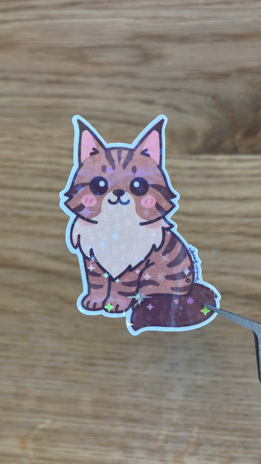 Maine Coon Katze Sticker